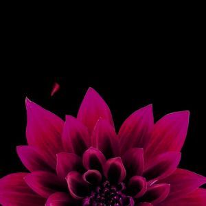 Meet your Posher, Margaret